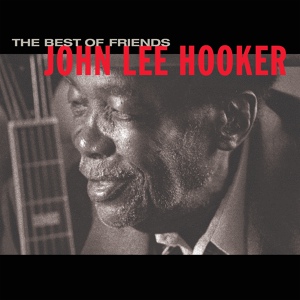 Обложка для John Lee Hooker feat. Ry Cooder, Ike Turner - Big Legs Tight Skirt