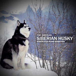 Обложка для The Siberian - Siberian Husky