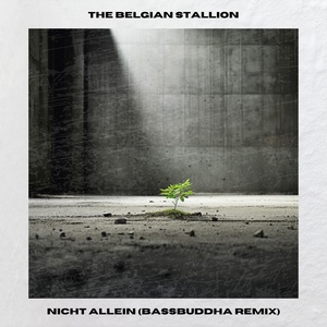 Обложка для The Belgian Stallion, BassBuddha - Nicht ALLEIN