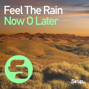 Обложка для Now O Later - Feel The Rain