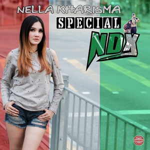 Обложка для Nella Kharisma - Polisi