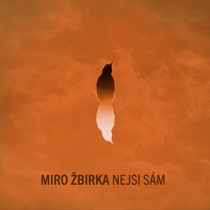 Обложка для Miro Žbirka, David Zbirka - Nejsi sám