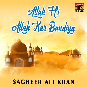 Обложка для Sagheer Ali Khan - Damri Walriyo Sarkar