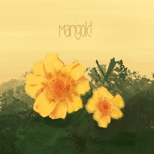 Обложка для Lo'fi Boy - Marigold