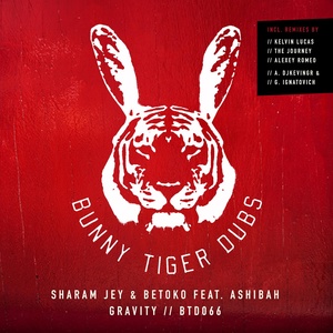 Обложка для Sharam Jey, Betoko, Ashibah - Gravity (Alexandros Djkevingr, Greg Ignatovich Remix)