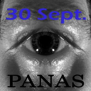 Обложка для PANAS - Bigit