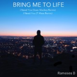Обложка для Rameses B feat. Charlotte Haining - Bring Me to Life (Original Mix)