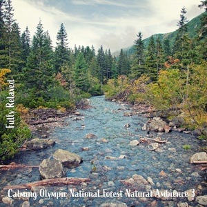 Обложка для Steve Brassel - Calming Olympic National Forest Natural Ambience, Pt. 12