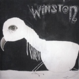 Обложка для Winston - In Shards