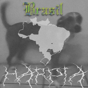 Обложка для Harpia - Brasília