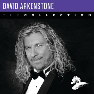 Обложка для David Arkenstone feat. David Davidson - The Voice