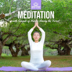 Обложка для Meditation Music Zone - Blessing