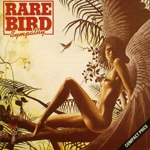 Обложка для Rare Bird - You Went Away