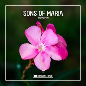 Обложка для Sons Of Maria - Heirloom