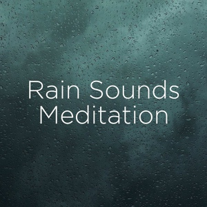 Обложка для Rain Sounds, Rain for Deep Sleep - Peaceful Rain