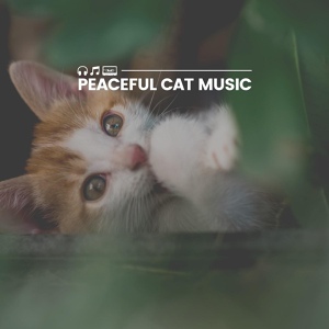 Обложка для Music for Cats Peace - Ultimate Zen Music for Your Cat, Pt. 3