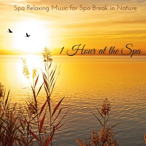 Обложка для Nature Sounds Spa Therapy - 1 Hour at the Spa (Spa Relaxing Music)