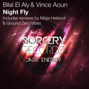 Обложка для Bilal El Aly, Vince Aoun - Night Fly
