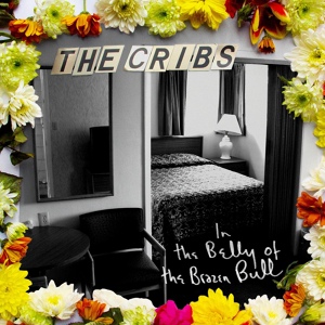 Обложка для The Cribs - Anna