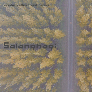 Обложка для Circular Collision Lost Forever - Salanghagi