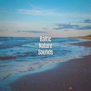 Обложка для Baltic Nature Sounds - Spring Baltic Forest