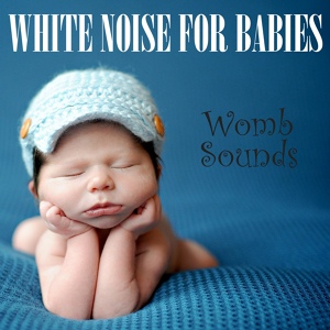 Обложка для White Noise from TraxLab, Ambient Sounds from I'm In Records, Background Noise Lab - Womb Sounds for Sleeping, Pt. 01