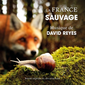 Обложка для David Reyes - La France Sauvage