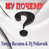 Обложка для Тимур Вагапов, DJ Polkovnik - Ну почему?