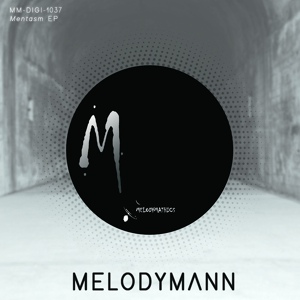 Обложка для Melodymann - The Garage Track