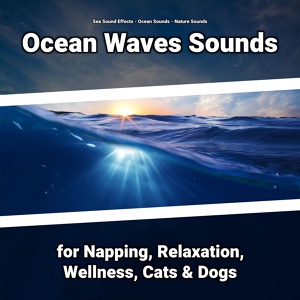 Обложка для Sea Sound Effects, Ocean Sounds, Nature Sounds - Sounds to Go To Sleep