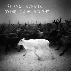 Обложка для Melissa Laveaux - Pretty Girls