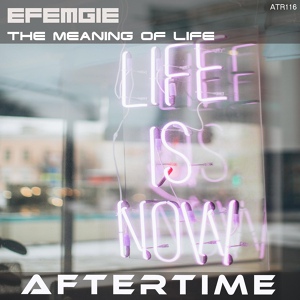 Обложка для Efemgie - The Meaning Of Life (Original Mix)