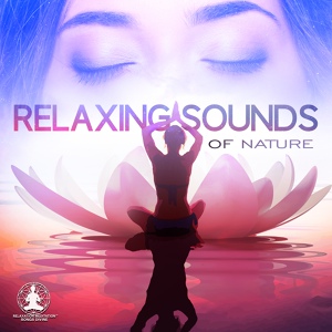 Обложка для Relaxation Meditation Songs Divine - Calm Meditation