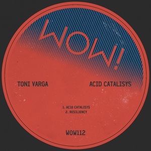 Обложка для Toni Varga - Acid Catalisys