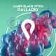 Обложка для James Black Pitch - Palladio