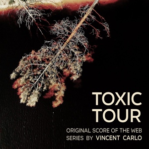 Обложка для Vincent Carlo - Environmental Issues