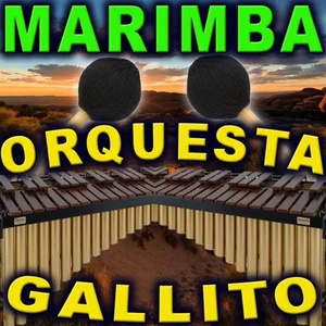 Обложка для Marimba Orquesta Gallito - Guatemala