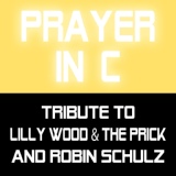 Обложка для Tribute to Lilly Wood & The Prick and Robin Schulz - Prayer in C