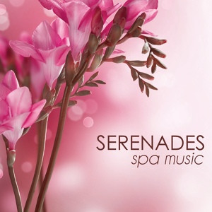 Обложка для Spa Music in Spa - Soothing Music