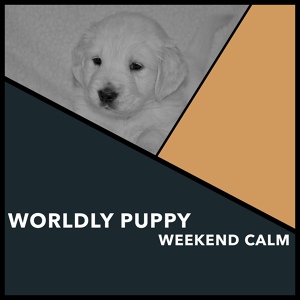 Обложка для Puppy Music, Puppy Music Therapy - Peaceful Puppy Sleep