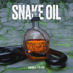 Обложка для Dwonji, Clerk - Snake Oil
