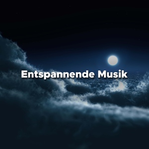 Обложка для Achtsamkeit Meditationsmusik - Schlafgut (Gitarre)