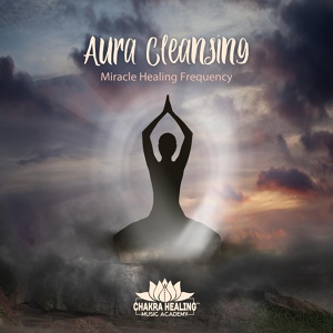 Обложка для Chakra Healing Music Academy - Quiet Time