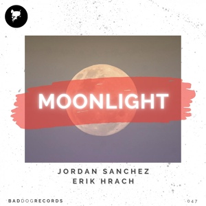 Обложка для Jordan Sanchez, Erik Hrach - Moonlight