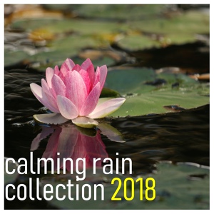 Обложка для Rain Sound Studio, Rain and Nature, Relaxing Music Therapy - Yoga Rain