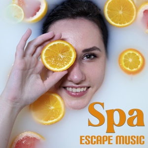 Обложка для Spa Musique Collection, SPA & Wellness Massage Masters, Wellness Spa Music Oasis - Energetic Experience