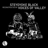 Обложка для Nick Devon - Eternity (Voices of Valley Remix)