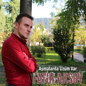 Обложка для Fatih Aksoy - Çay