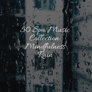Обложка для Sounds of Nature White Noise Sound Effects, Rain Makers, Tranquil Music Sounds of Nature - Rain Collection