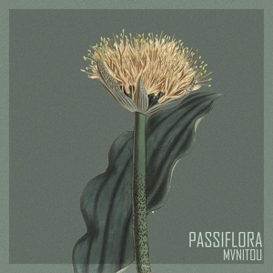 Обложка для mvnitou - Passiflora
